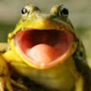 Meet your Posher, Luke